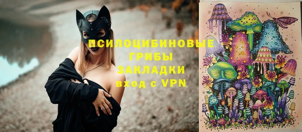гашик Баксан