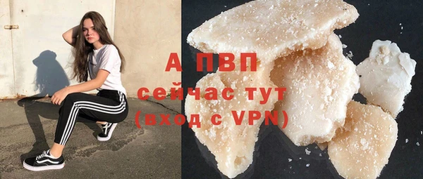 гашик Баксан
